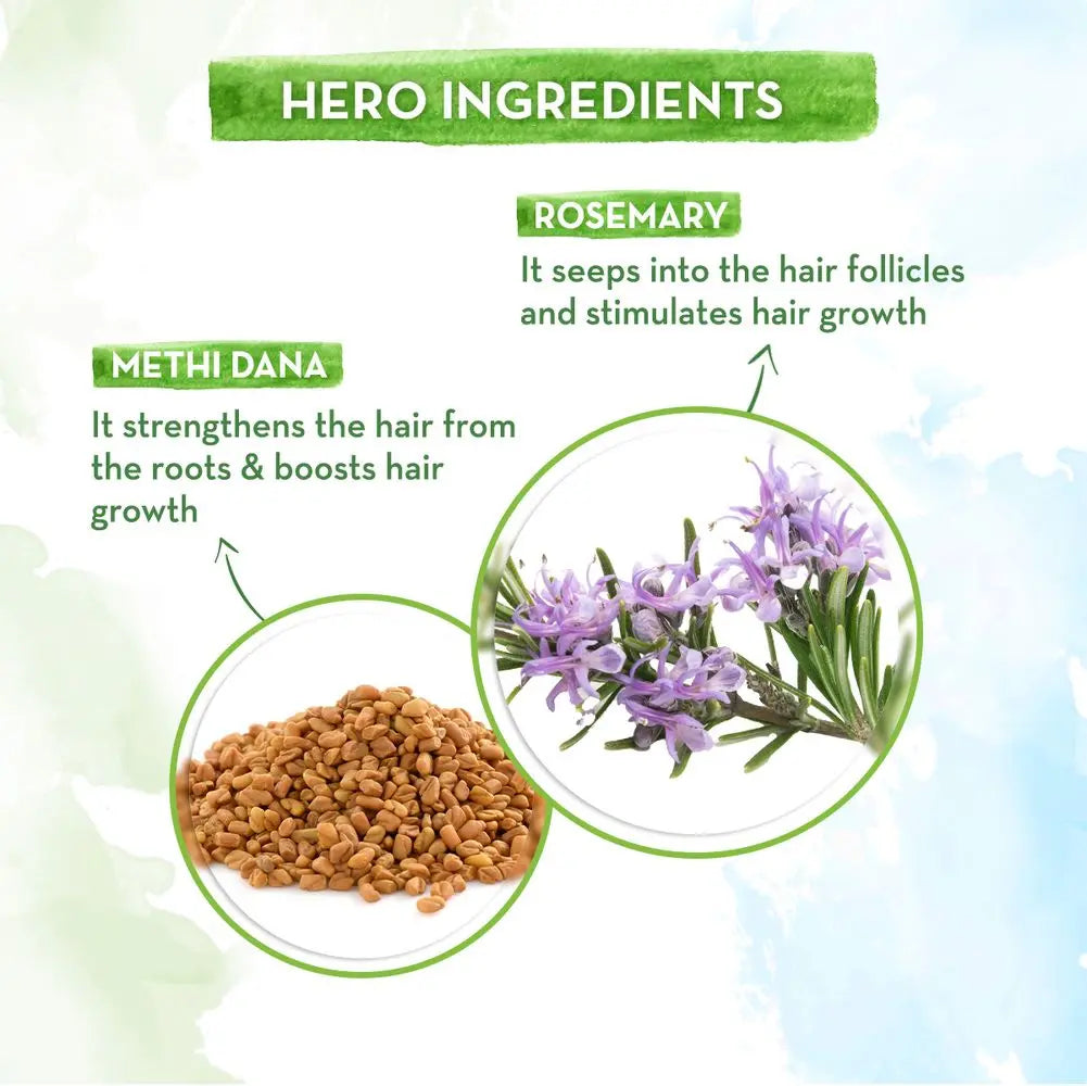 Rosemary HairCare Kits – Shampoo 250ml, Conditioner 250ml & Hair Oil 100ml