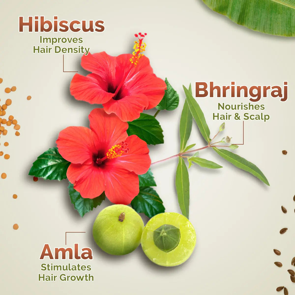 Kerala Thaali Hair Oil