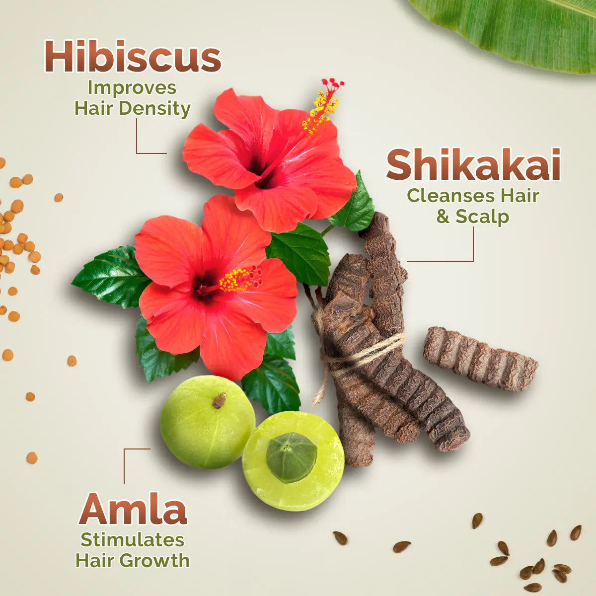 Kerala Thaali Shampoo