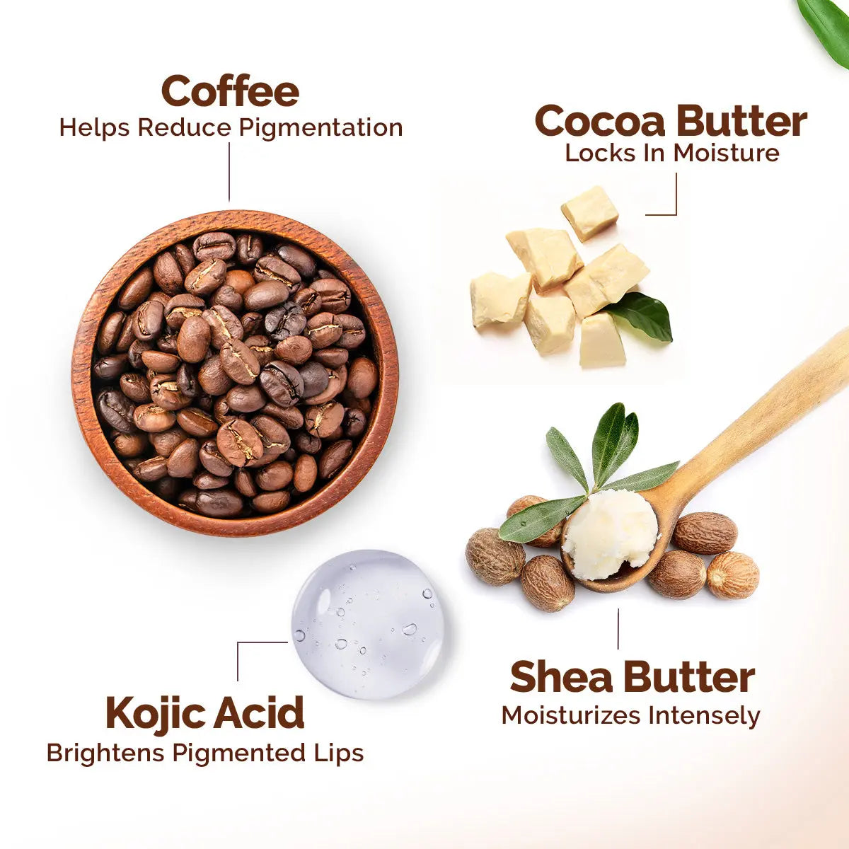 Cocoa Moisture Therapy Lip Balm