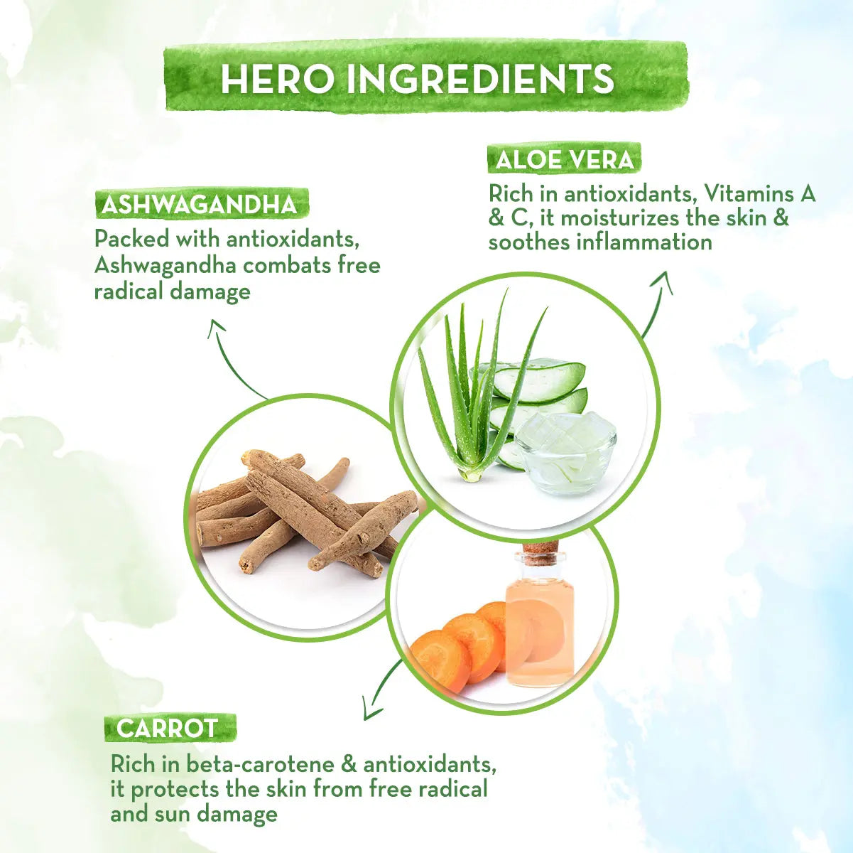 Aloe Vera Sunscreen Body Lotion